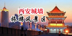 疯狂抽插肉洞无码视频中国陕西-西安城墙旅游风景区
