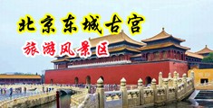 日本男生巨屌中国北京-东城古宫旅游风景区