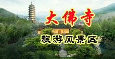 骚BB操操骚屌屌视频中国浙江-新昌大佛寺旅游风景区